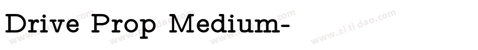 Drive Prop Medium字体转换